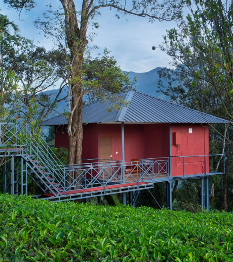 Resort Room